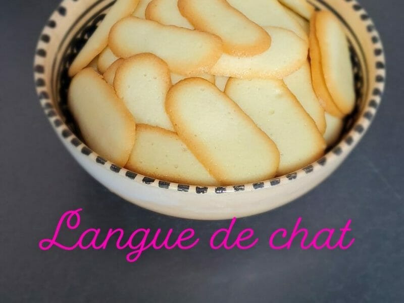 Cliquez pour zoomer ! Langues de chat Thermomix par carole2403