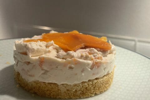 Cliquez pour zoomer ! Cheesecake au saumon sans cuisson Thermomix par marie_og