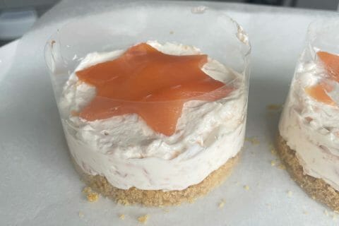 Cliquez pour zoomer ! Cheesecake au saumon sans cuisson Thermomix par marie_og