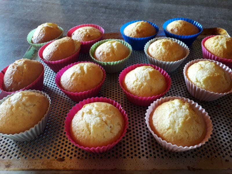 Cliquez pour zoomer ! Muffins aux pépites de chocolat Thermomix par Mandine