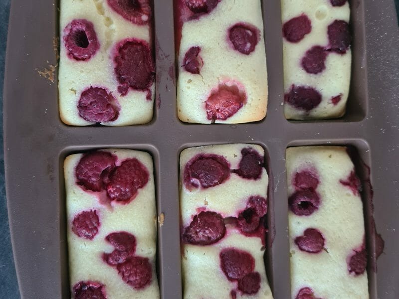 Cliquez pour zoomer ! Visitandines aux framboises Thermomix par laurbvs60