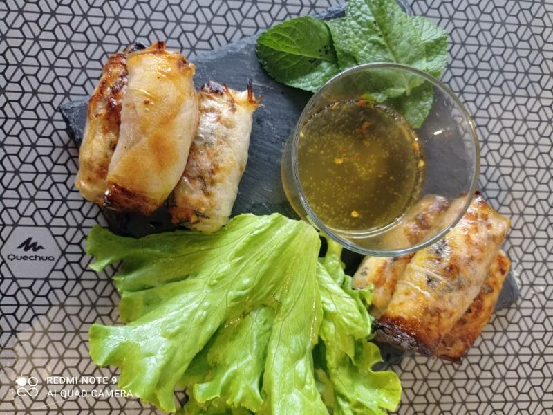 Cliquez pour zoomer ! Nems au poulet Thermomix par yasminemnz