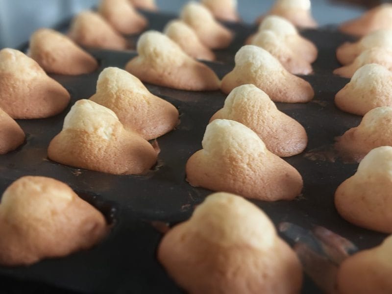 Cliquez pour zoomer ! Madeleines Thermomix par audrex62