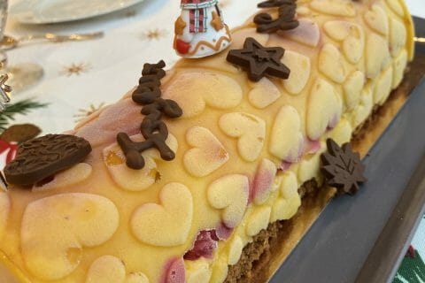 Cliquez pour zoomer ! Bûche glacée mangue et framboise Thermomix par MystereRieuse