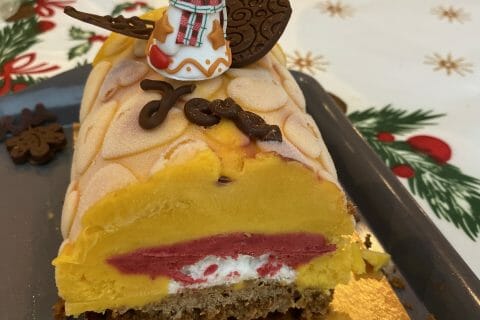 Cliquez pour zoomer ! Bûche glacée mangue et framboise Thermomix par MystereRieuse