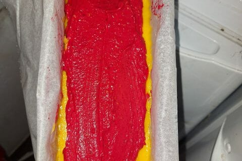 Cliquez pour zoomer ! Bûche glacée mangue et framboise Thermomix par mims_4