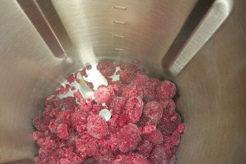 Cliquez pour zoomer ! Bûche glacée mangue et framboise Thermomix par mims_4