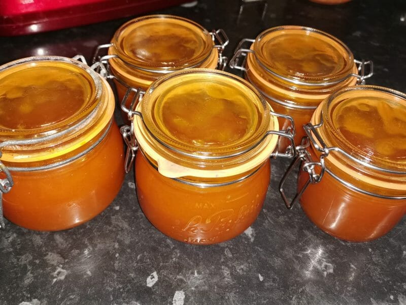 Cliquez pour zoomer ! Confiture d’abricots Thermomix par chouchou6