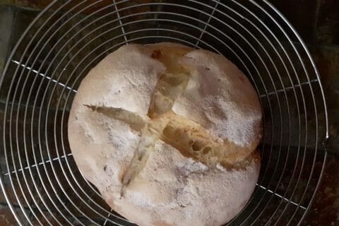 Cliquez pour zoomer ! Miche de pain Thermomix par mike057