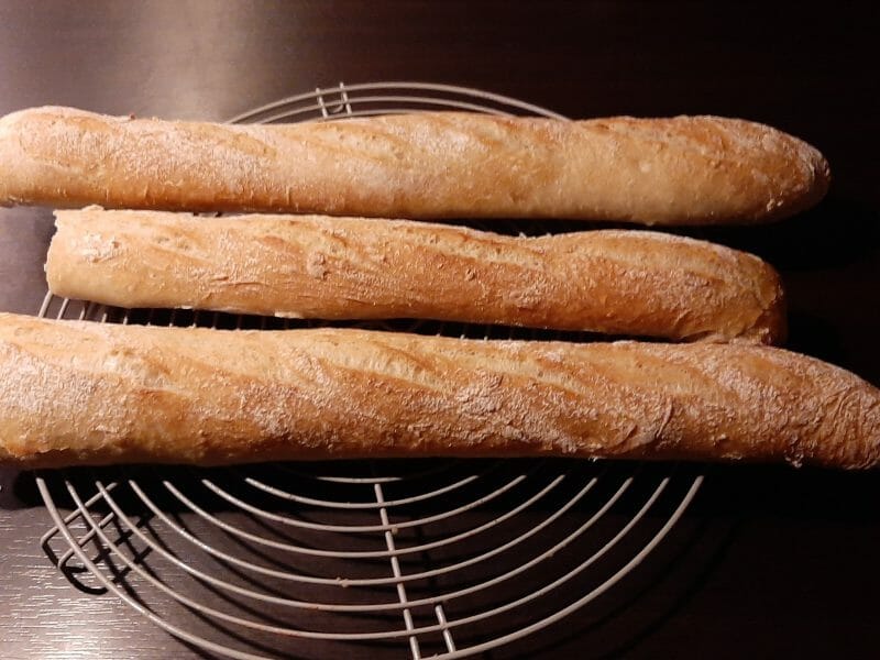Baguettes Thermomix par mike057