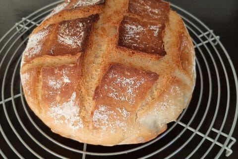 Cliquez pour zoomer ! Pain Cocotte Thermomix par mike057