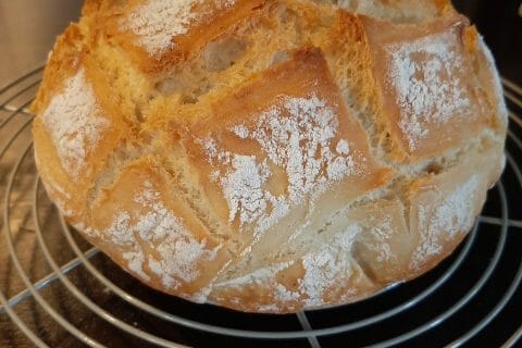 Cliquez pour zoomer ! Photo de mike057