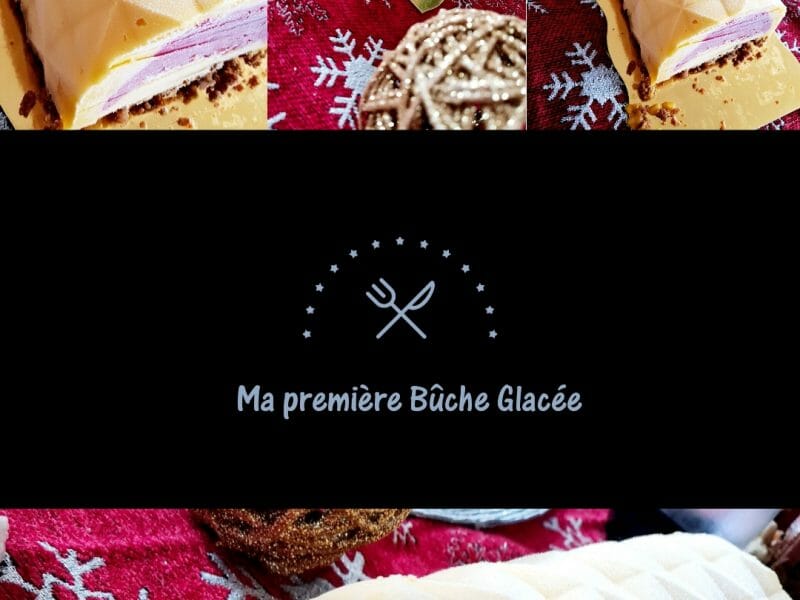 Cliquez pour zoomer ! Bûche glacée mangue et framboise Thermomix par nadiaminnie