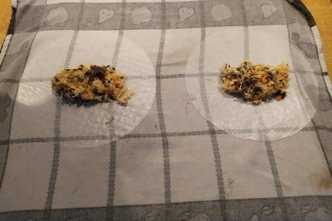 Cliquez pour zoomer ! Nems au poulet Thermomix par fred5670