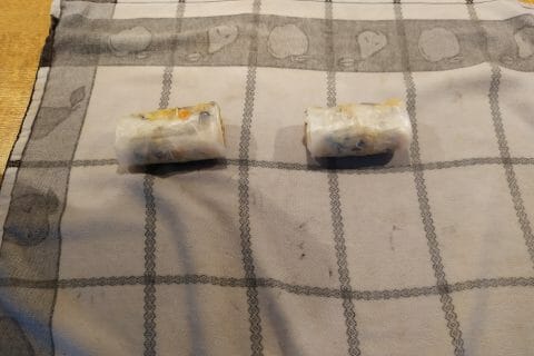 Cliquez pour zoomer ! Nems au poulet Thermomix par fred5670