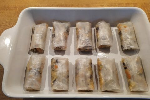 Cliquez pour zoomer ! Nems au poulet Thermomix par fred5670