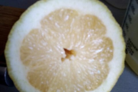 Cliquez pour zoomer ! Sirop de citron Thermomix par Kaya Troua