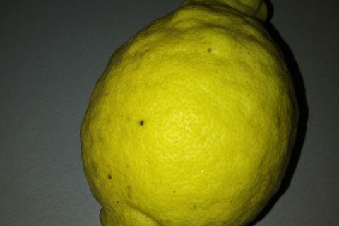 Cliquez pour zoomer ! Sirop de citron Thermomix par Kaya Troua