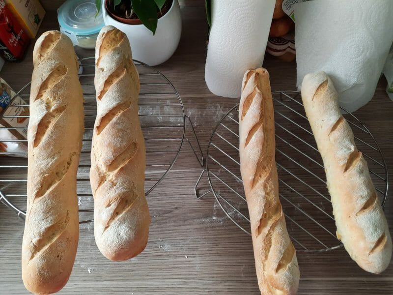 Cliquez pour zoomer ! Baguettes Thermomix par Anious