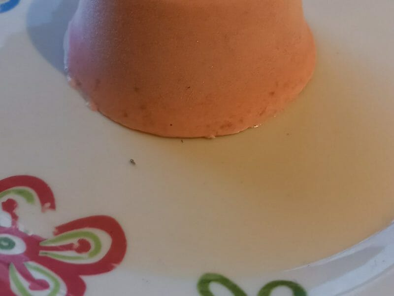 Cliquez pour zoomer ! Parfait glacé aux fraises Thermomix par ola24