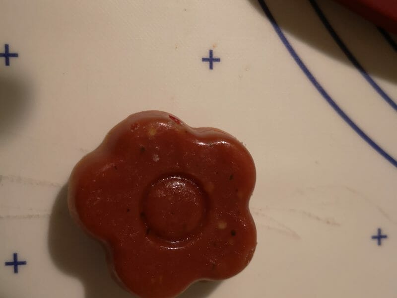 Cliquez pour zoomer ! Concentré de tomates Thermomix par Lise