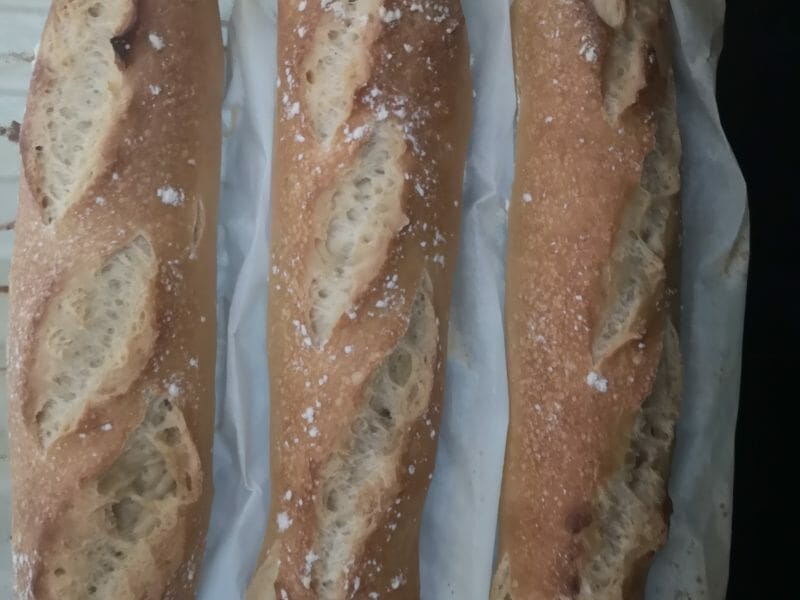 Cliquez pour zoomer ! Baguettes Thermomix par Lise
