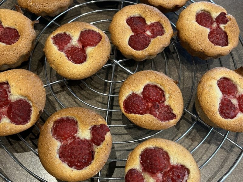 Cliquez pour zoomer ! Financiers Thermomix par Dany Olivier