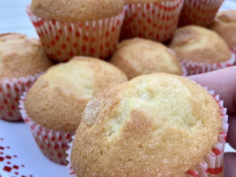 Cliquez pour zoomer ! Magdalenas – Madeleines espagnoles Thermomix par yannaki