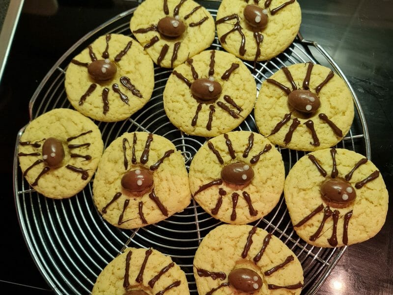 Cliquez pour zoomer ! Spider cookies (cookies araignées) Thermomix par Isabella1983