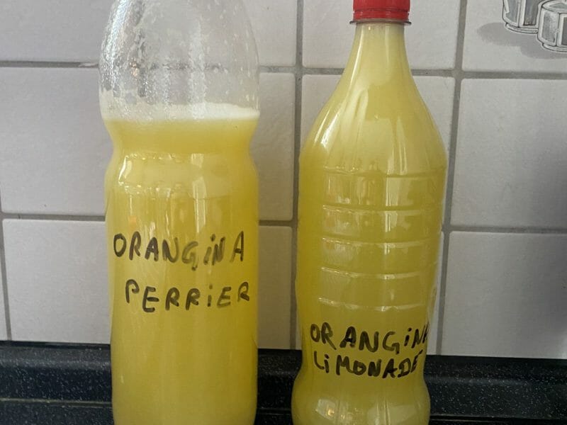 Cliquez pour zoomer ! Orangina maison Thermomix par alicia_63