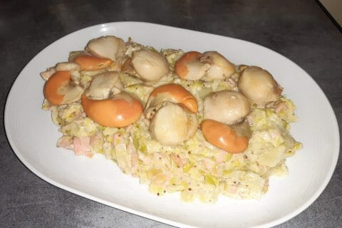 Cliquez pour zoomer ! Saint Jacques aux poireaux Thermomix par jeremy_66