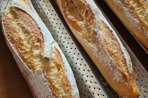 Cliquez pour zoomer ! Photo de C2F26