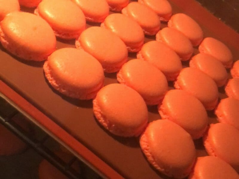 Macarons Thermomix par naima_23