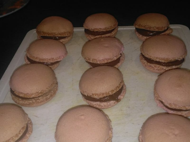 Cliquez pour zoomer ! Macarons Thermomix par miss83