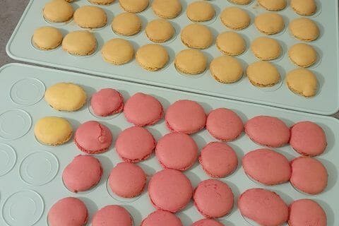 Cliquez pour zoomer ! Macarons Thermomix par julie51370