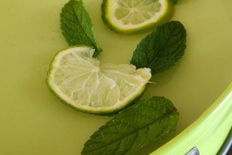 Cliquez pour zoomer ! Bavarois Mojito Thermomix par anlole