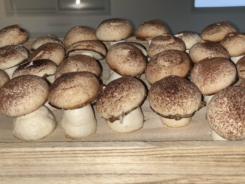 Cliquez pour zoomer ! Meringues Thermomix par lionel3247