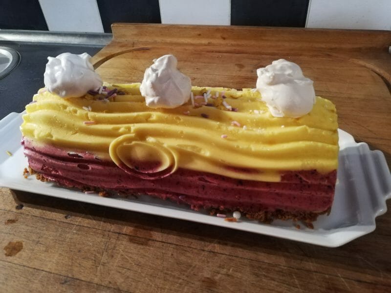 Cliquez pour zoomer ! Bûche glacée mangue et framboise Thermomix par mija