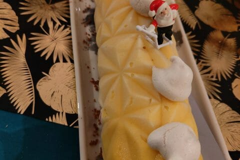 Cliquez pour zoomer ! Bûche glacée mangue et framboise Thermomix par Manon13