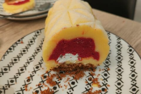 Cliquez pour zoomer ! Bûche glacée mangue et framboise Thermomix par Manon13