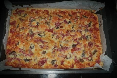 Cliquez pour zoomer ! Pizza liquide Thermomix par Delf'Ine