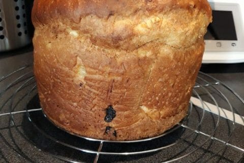 Cliquez pour zoomer ! Panettone Thermomix par pupu37