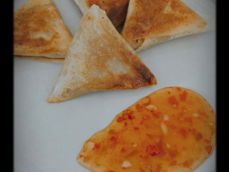 Cliquez pour zoomer ! Samoussa au boeuf Thermomix par roxy31