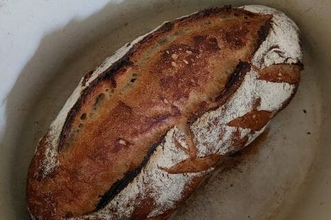 Cliquez pour zoomer ! Photo de juanlespins23