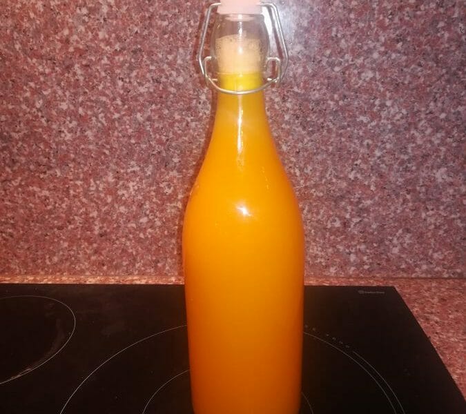 Cliquez pour zoomer ! Jus de fruits ACE Thermomix par Lily1807