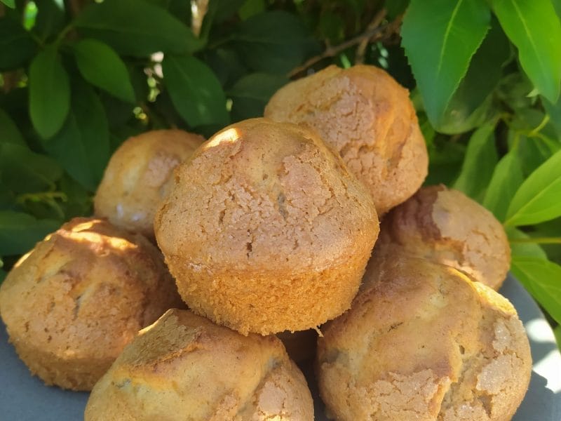 Cliquez pour zoomer ! Magdalenas – Madeleines espagnoles Thermomix par aurele03