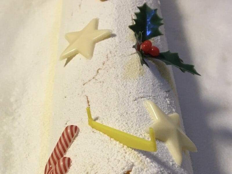 Cliquez pour zoomer ! Bûche glacée mangue et framboise Thermomix par delphine_243