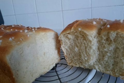 Cliquez pour zoomer ! Brioche Buchty Thermomix par Shadow