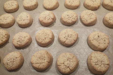 Cliquez pour zoomer ! Photo de susi