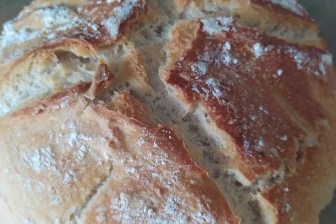 Photos des recettes